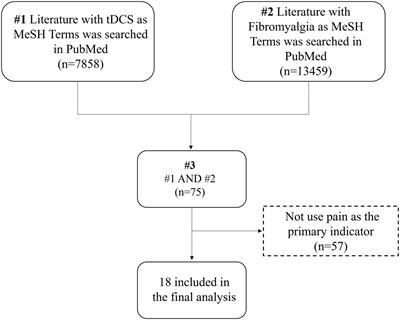 Mechanisms of transcranial direct current stimulation (tDCS) for pain in patients with fibromyalgia syndrome